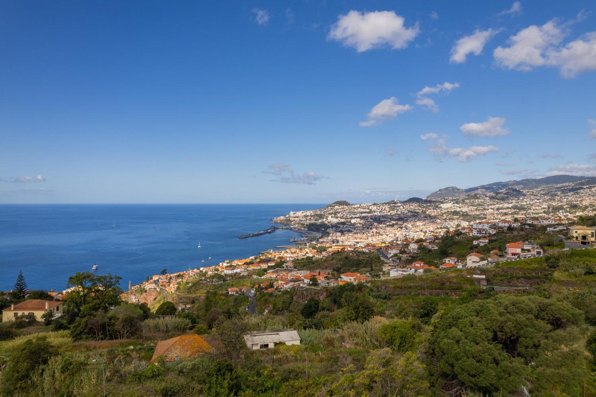 Flh Papaya Villa With Sea View Funchal Dış mekan fotoğraf